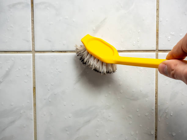 Best Emergency Mold Removal  in Hartford, SD