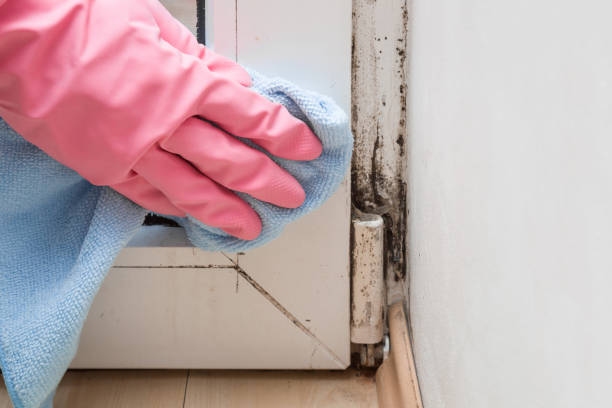 Crawl Space Mold Removal in Hartford, SD