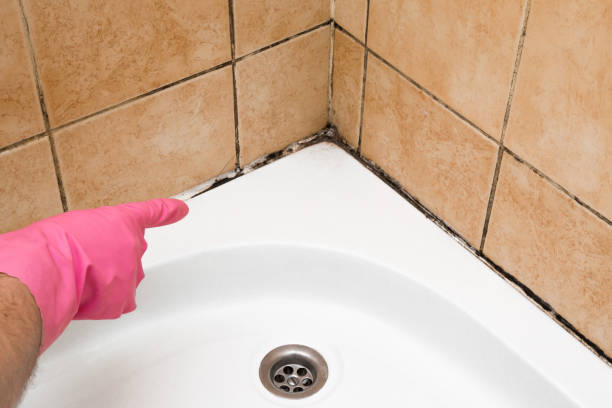 Professional Mold Removal in Hartford, SD